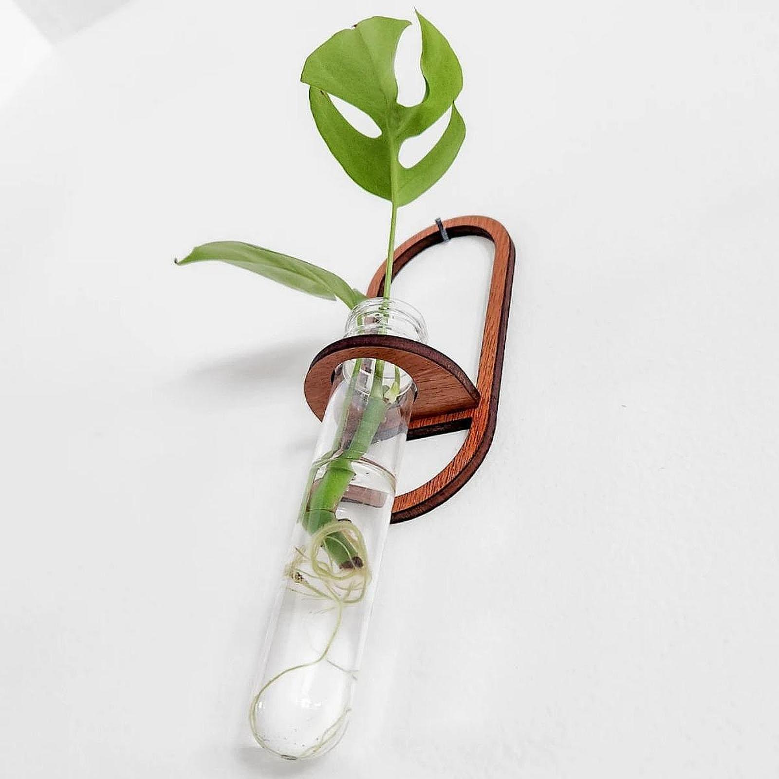 Propagation Station Vase - Гидропонная ваза для растений, деревянная настенная