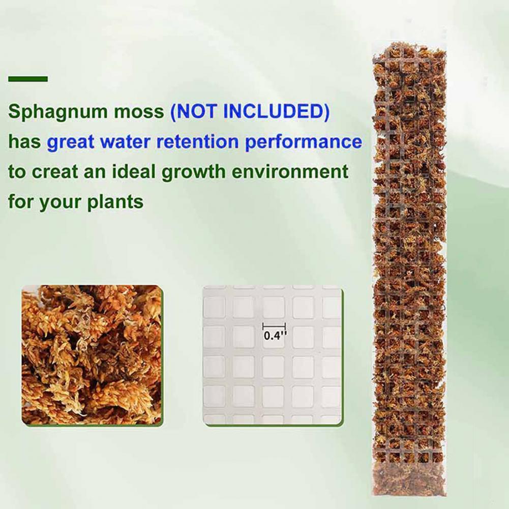 Sphagnum Moss Dry - Мох для вьющихся растений, опора для