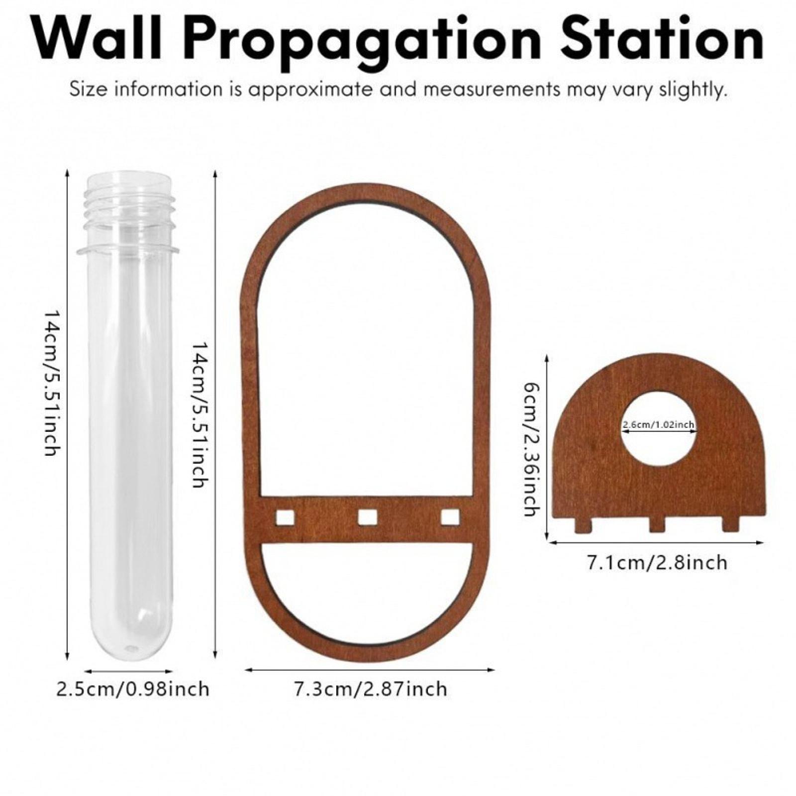 Гидропонная ваза для растений, – обзор и цена Propagation Station Vase