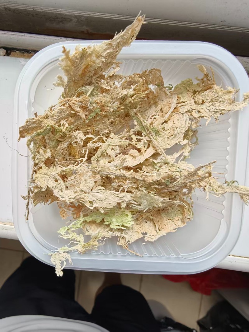 Премиальный сфагнум для орхиде – обзор и цена Sphagnum Moss Dry